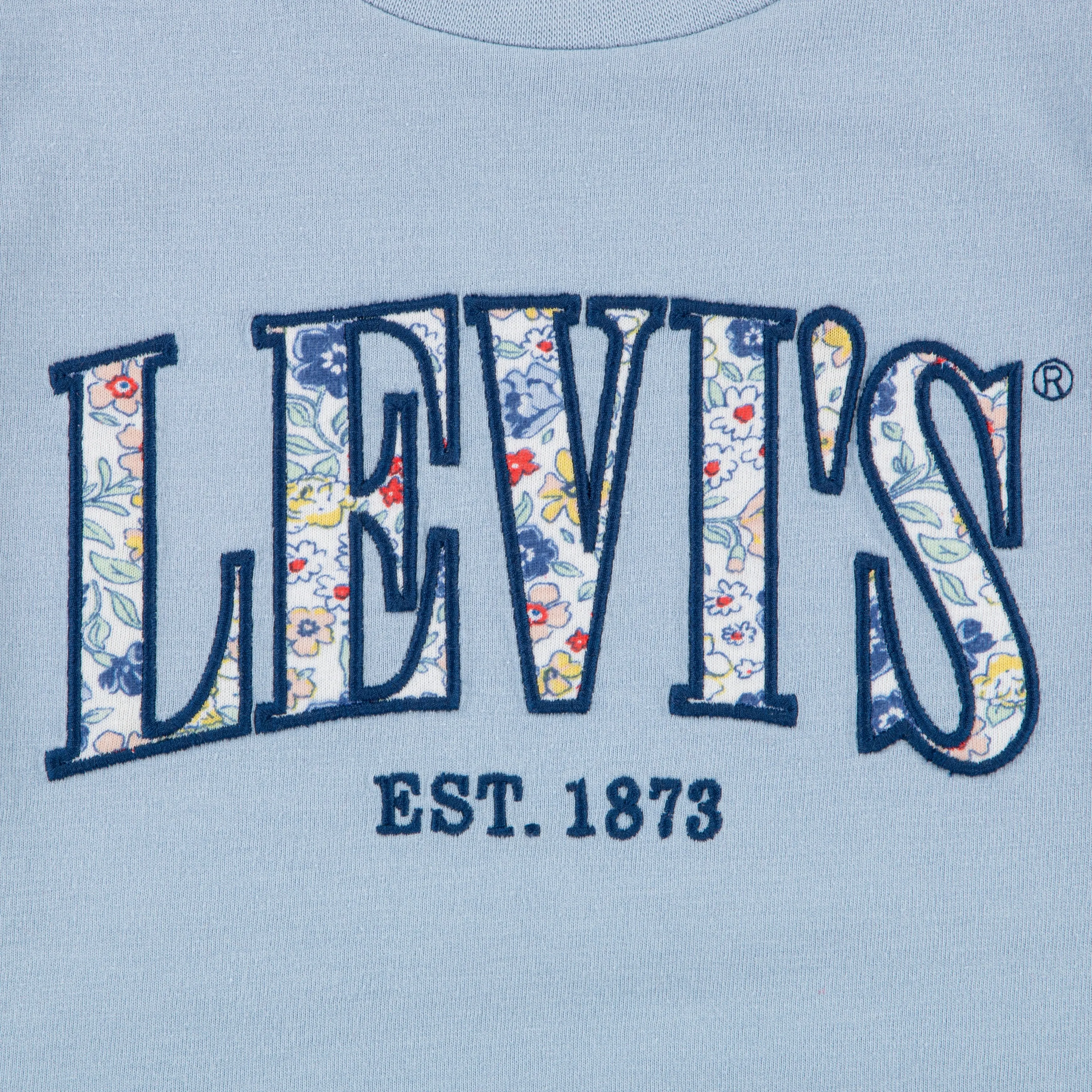 Levi's Short Sleeve Seasonal Graphic Tee (Little Kids)
